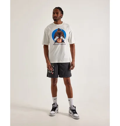 Футболка мужская Air Jordan Graphic Tee White HF5472-133