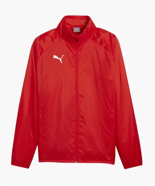 Олимпийка мужская Puma Teamgoal Allwetterjacke Rot F01 Red 659038-01