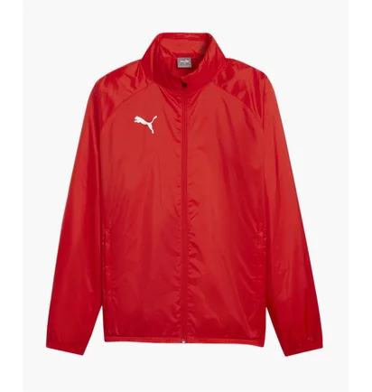 Олимпийка мужская Puma Teamgoal Allwetterjacke Rot F01 Red 659038-01