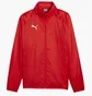Олимпийка мужская Puma Teamgoal Allwetterjacke Rot F01 Red 659038-01