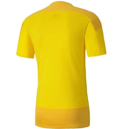 Футболка мужская Puma Teamgoal 23 Training Yellow 65648207