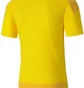 Футболка мужская Puma Teamgoal 23 Training Yellow 65648207