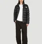 Пуховик мужской The North Face Rusta Puffer Black NF0A7X31KY4
