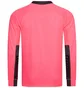 Лонгслив мужской Puma Padded Long-Sleeved Goalkeeper Pink 701918-44