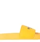 Тапочки мужские The North Face Base Camp Slide Iii Yellow NF0A4T2RZU3