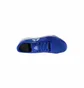 Кросівки чоловічі Reebok Flexile Blue BS8046