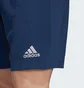 Шорты мужские Adidas Entrada 22 Shorts Blue H57506