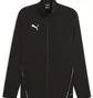 Олимпийка мужская Puma Teamgoal Sideline Jacket Black 658622-03
