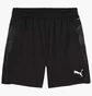 Шорты мужские Puma Teamcup Black 659171-03
