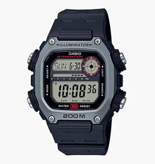 Часы мужские Casio DW-291H-1A