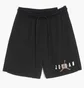 Шорти чоловічі Air Jordan M J Ess Mesh Gfx Short Black DV7652-010