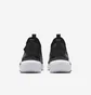 Кроссовки детские Nike Flex Runner 4 Black IF2893-002