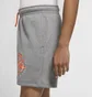 Шорты мужские Air Jordan Grey DA7210-091