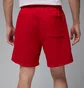 Шорты мужские Air Jordan Brk Lbr Gfx Red IB7910-687
