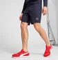 Шорты мужские Puma Mens Elevated Blue 684730-16
