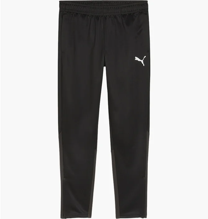 Штаны мужские Puma Teamgoal Training Black 658639-03