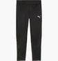 Штаны мужские Puma Teamgoal Training Black 658639-03