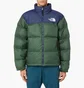 Пуховик мужской The North Face 1996 Retro Nuptse Jacket Green/Blue NF0A3C8DOAS