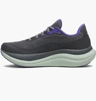 Кроссовки женские Saucony Triumph 23 Gtx Grey S11025-01