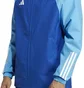 Олімпійка чоловіча Adidas Hooded Jacket Tiro23 C Aw Jk Blue/Light Blue IC4572