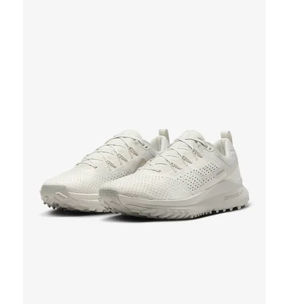 Кроссовки мужские Nike Pegasus Trail 4 Beige DJ6158-008