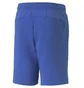 Шорты мужские Puma Ess+ 2 Col Shorts 10 Blue 586766-92