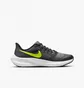 Кроссовки детские Nike Air Zoom Pegasus 39 Gs Grey DM4015-002