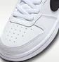 Кросівки дитячі Nike Court Borough Low Recraft White DV5457-104