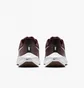 Кросівки жіночі Nike Air Zoom Pegasus 39 Claret Brown Dh4072-600