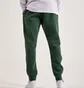 Штаны мужские Nike Club Fleece Joggers Green BV2671-323