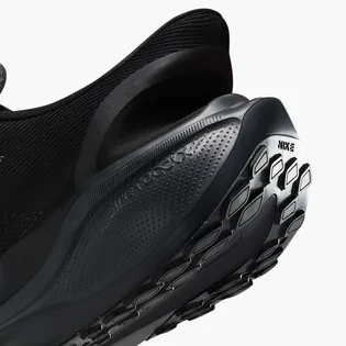 Кроссовки мужские Nike Pegasus Easyon Black FQ7837-001