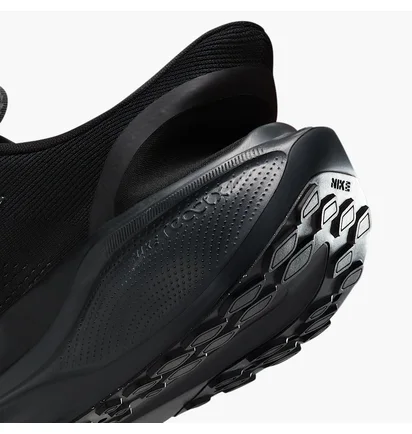 Кроссовки мужские Nike Pegasus Easyon Black FQ7837-001