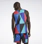 Майка мужская Reebok City League Reversible Mesh Jersey White Hg2576