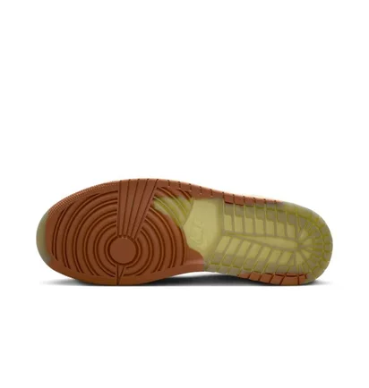 Кросівки чоловічі Air Jordan 1 High Element Gore-Tex Sand Coffee Brown DB2889-102