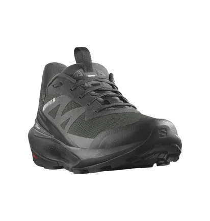 Кроссовки мужские Salomon Elixir Active Gtx Black 474561
