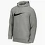 Худи мужское Nike Dri-Fit Swoosh Grey CZ2425-063