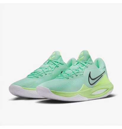Кроссовки унисекс Nike Precision 6 Green DD9535-300