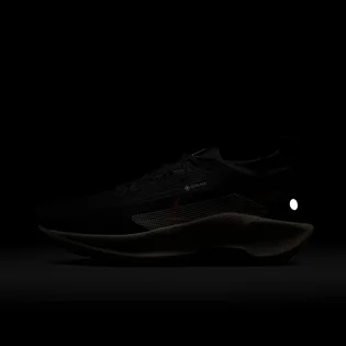 Кроссовки мужские Nike Pegasus Trail 5 Gore-Tex Black FQ0908-007