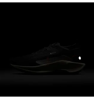 Кроссовки мужские Nike Pegasus Trail 5 Gore-Tex Black FQ0908-007