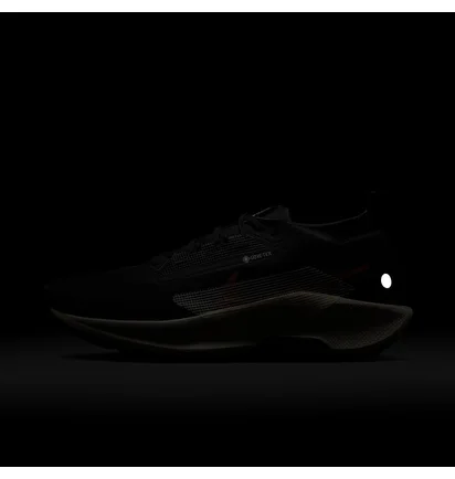 Кроссовки мужские Nike Pegasus Trail 5 Gore-Tex Black FQ0908-007
