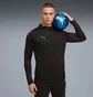 Кофта мужская Puma Individualcup Black 660246-07