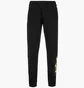 Штаны мужские Adidas Graphics Behind The Trefoil Sweat Black HC7982