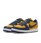 Кросівки чоловічі NIKE Terminator Low Og Blue/Yellow FJ4206-700