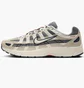 Кросівки чоловічі Nike P-6000 Grey IH4382-200
