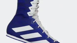 Кроссовки унисекс Adidas Box Hog 4 Shoes Blue Hp9612