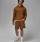 Шорти чоловічі Air Jordan Air Wordmark Brown FJ0700-281