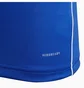 Футболка детская Adidas Core18 Jsy Y Blue CV3495