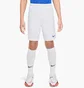 Шорты детские Nike Park Iii White BV6865-104