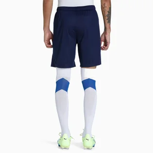 Шорти чоловічі Puma Teamliga Training Shorts Blue 657249-06