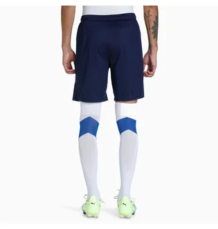 Шорты мужские Puma Teamliga Training Shorts Blue 657249-06